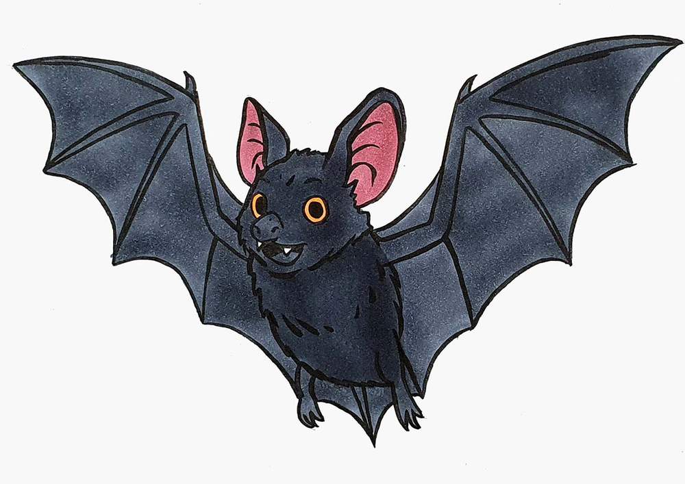 How To Draw A Cute Bat - Easy Step By Step Tutorial For Beginners